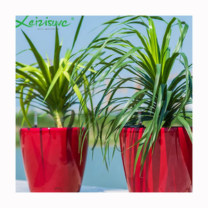 标志画花盆日本弯曲黄金pp selfwatering植物花盆