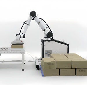 Aieqip自動20/25/30kgカートン紙袋ロボットパレタイザー機械 - Product Image 1