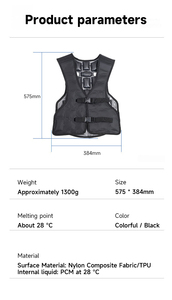 Erkekler için ODM soğutma yeleği PCM vücut serin buz paketi yelek çok soğutucu bölge su soğutma giysileri yaz soğutma yeleği bisiklet için - Product Image 6