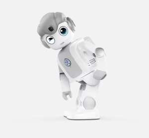 Альфа мини интеллектуальные гуманоидные цифровые роботы образовательные робототехнические наборы для кодирования роботов - Product Image 2