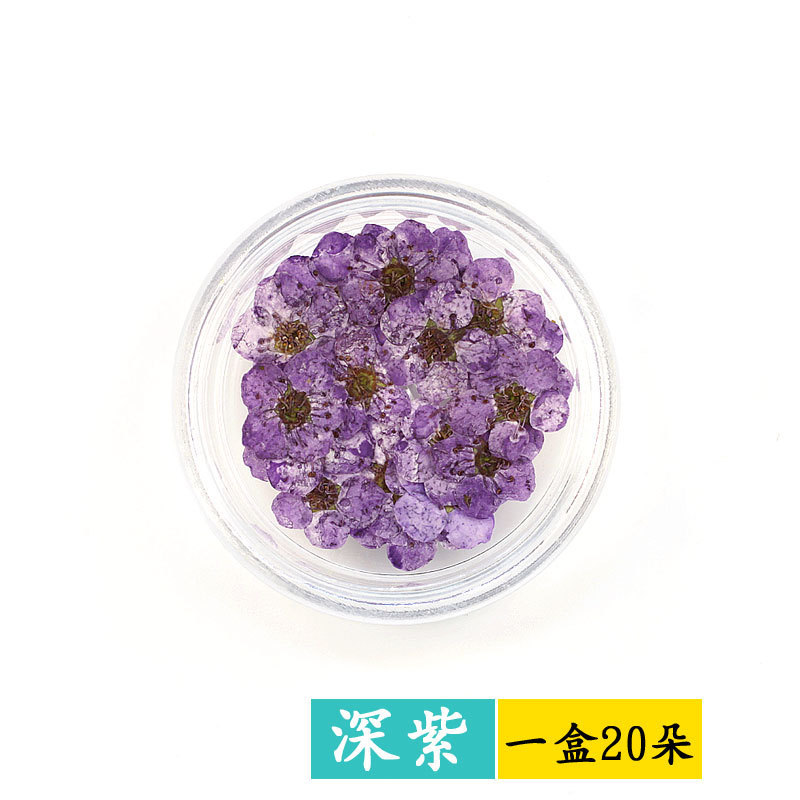 dk violet
