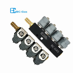 Sequentielles Kraftstoffs ystem 2Ohm 4-Zylinder-Einspritzschiene CNG LPG Digitale Kraftstoffe in spritz ung Lpg Gemeinsame Einspritz schiene