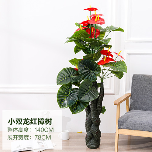Petit arbre d'anthurium double dragon de 140 cm