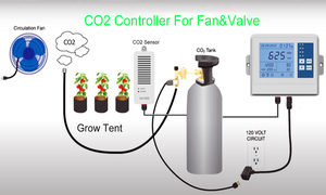 Controladores de CO2 para salas de cultivo e invernadero Controlador de monitor de dióxido de carbono de día y noche para válvula de generador de CO2 on/off - Product Image 4