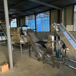 Otomatik sarımsak soyma işleme makineleri sarımsak tozu üretim hattı sarımsak soyucu hattı - Product Image 3