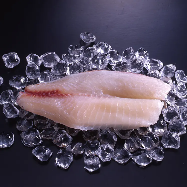 Filé de tilapia frozen 2-4 oz, filé de peixe marítimo de gaishi
