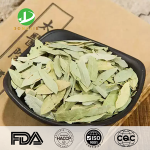 Senna lá chiết xuất (sennoside A + B: 10%, 20%) bột - Product Image 3