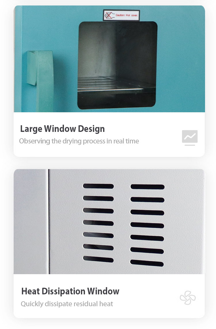 Four à étuve à chaleur électrique thermostatique de laboratoire