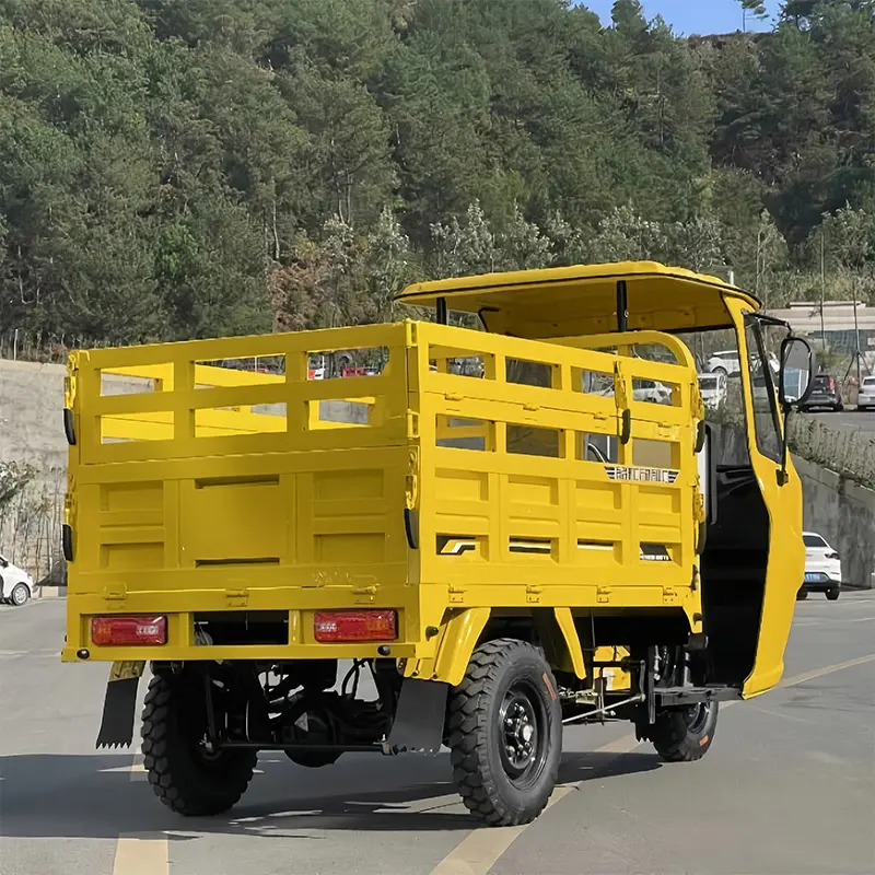 Prix d'usine personnalisé de haute qualité trois roues adulte électrique cargo tricycle électrique longue portée