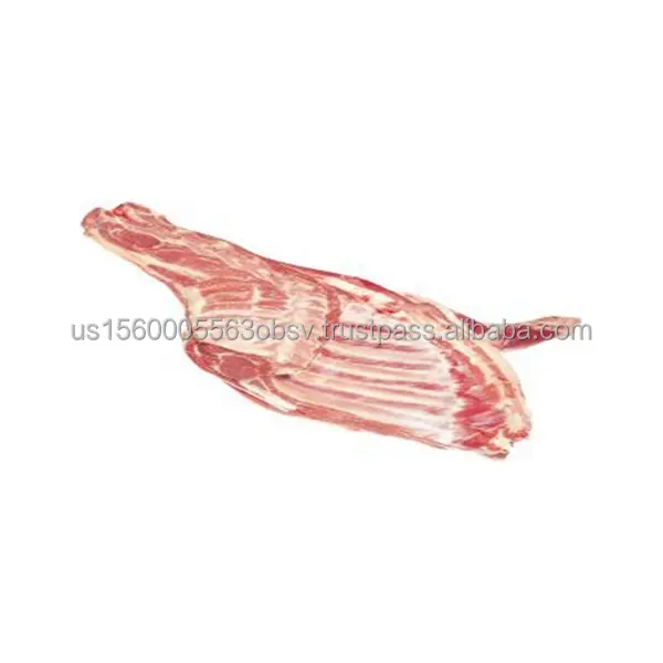 Cỏ cho ăn thịt cừu forequarter hữu cơ đông lạnh thịt cừu forequarter
