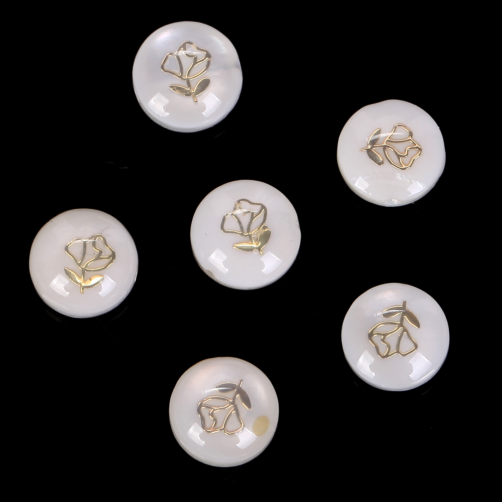 Rose White Background