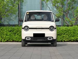 Xe tốt nhất geely Panda mini EV xe 210km yuanqi gấu bay phạm vi năng lượng mới xe sử dụng Điện Mini Xe - Product Image 2