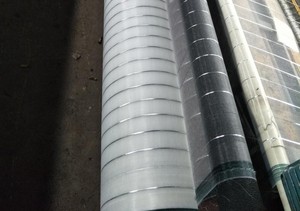 Werkseitig HDPE UV-beständiges Insekten netz Anti-Insekten netz für Gewächs häuser - Product Image 5