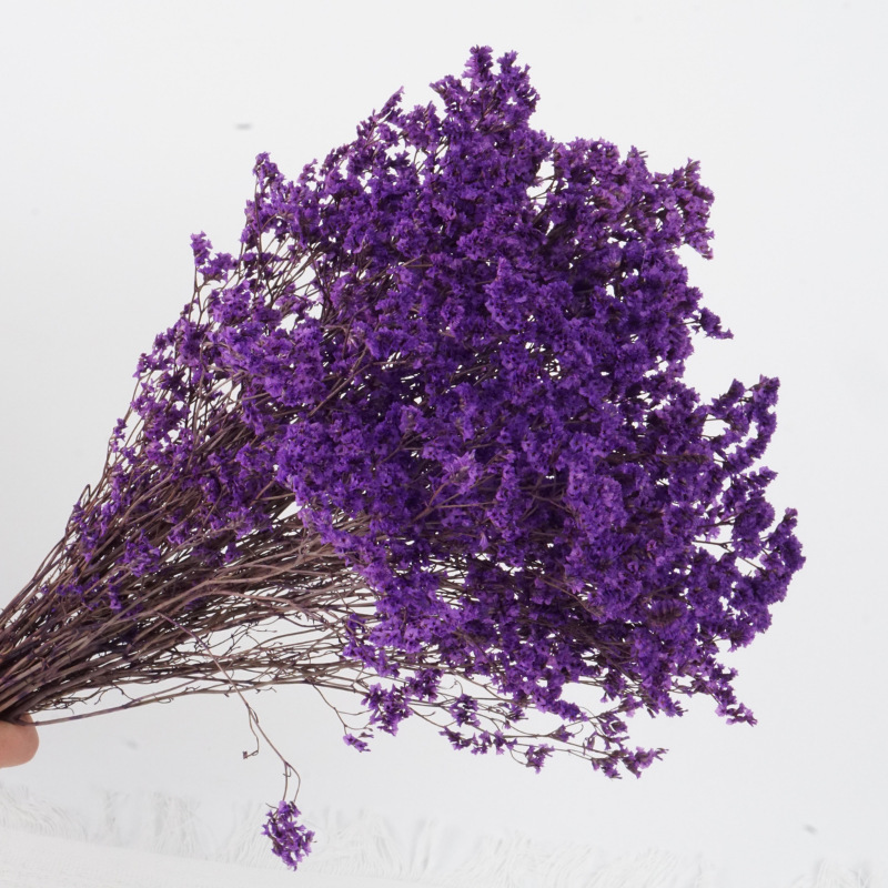 Dark purple