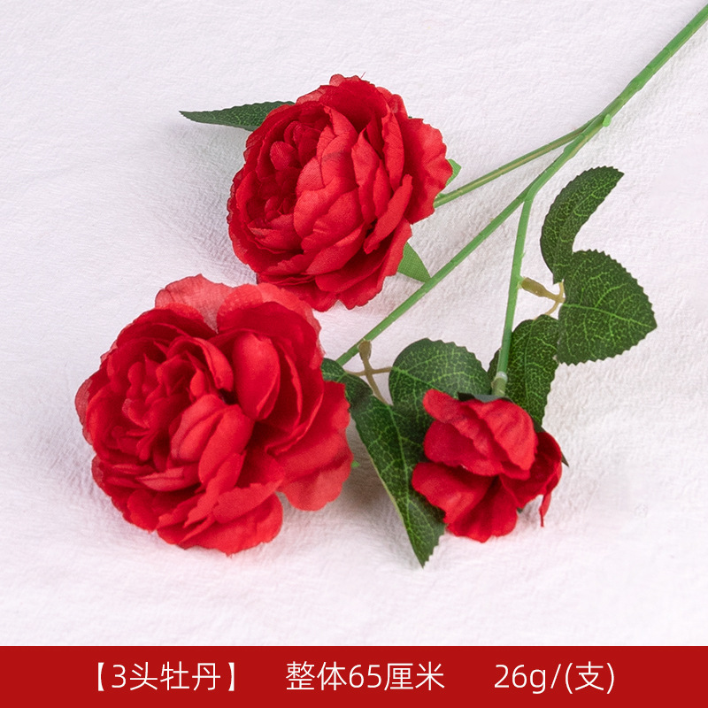 3.Pivoine