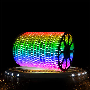 IP65 Cilicon Covering 60leds Strip With Dmx Controller TV Zigbee PVC Data Smd 5050 RGB <strong>Led</strong> Strip Light