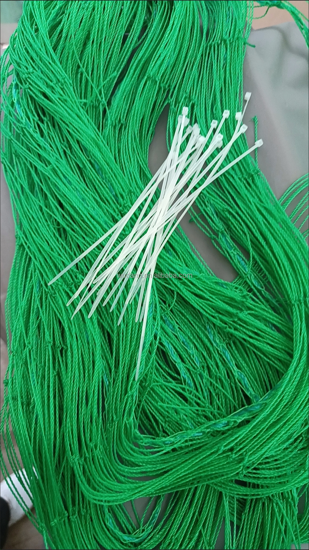 vert