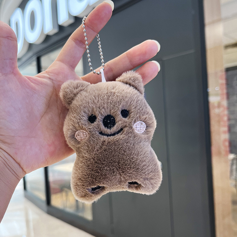 Café Koala, color chillón.