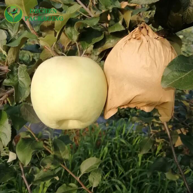 Bolsa de manzana