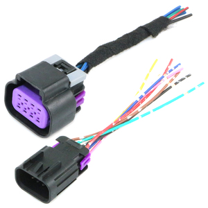 Cable a Cable Delphi para Faro Delantero, Cable Eléctrico Impermeable para Coche, Conector de Interruptor de Freno de Parque de 8 Pines, 1 Ud, 1 Ud - Product Image 1