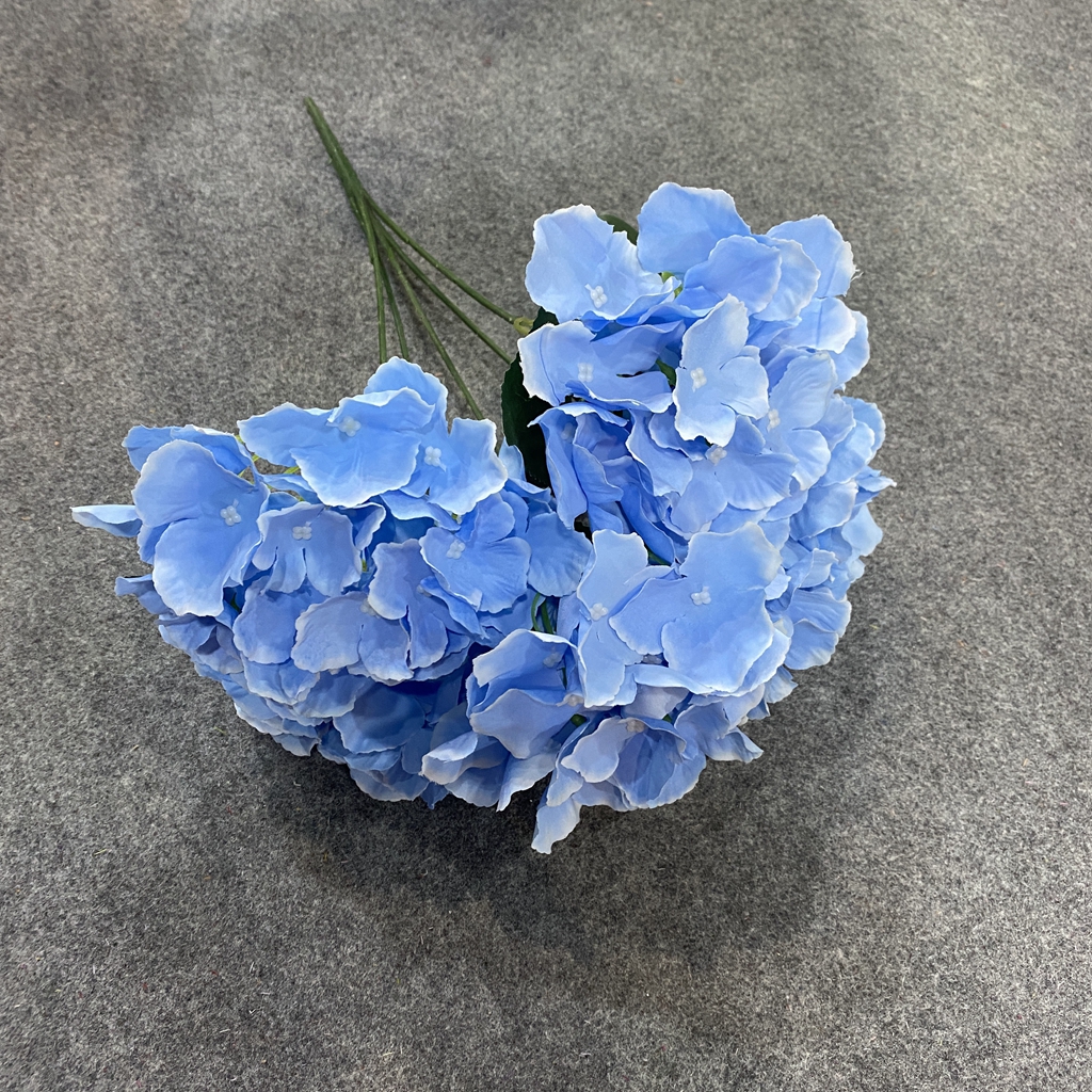 Blu-chiaro