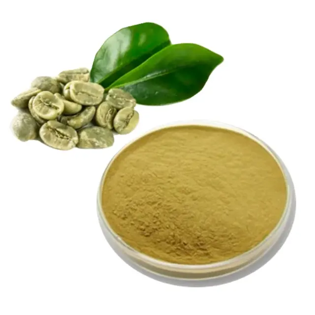 Capsule d'extrait de grains de café vert fin en poudre OEM/ODM