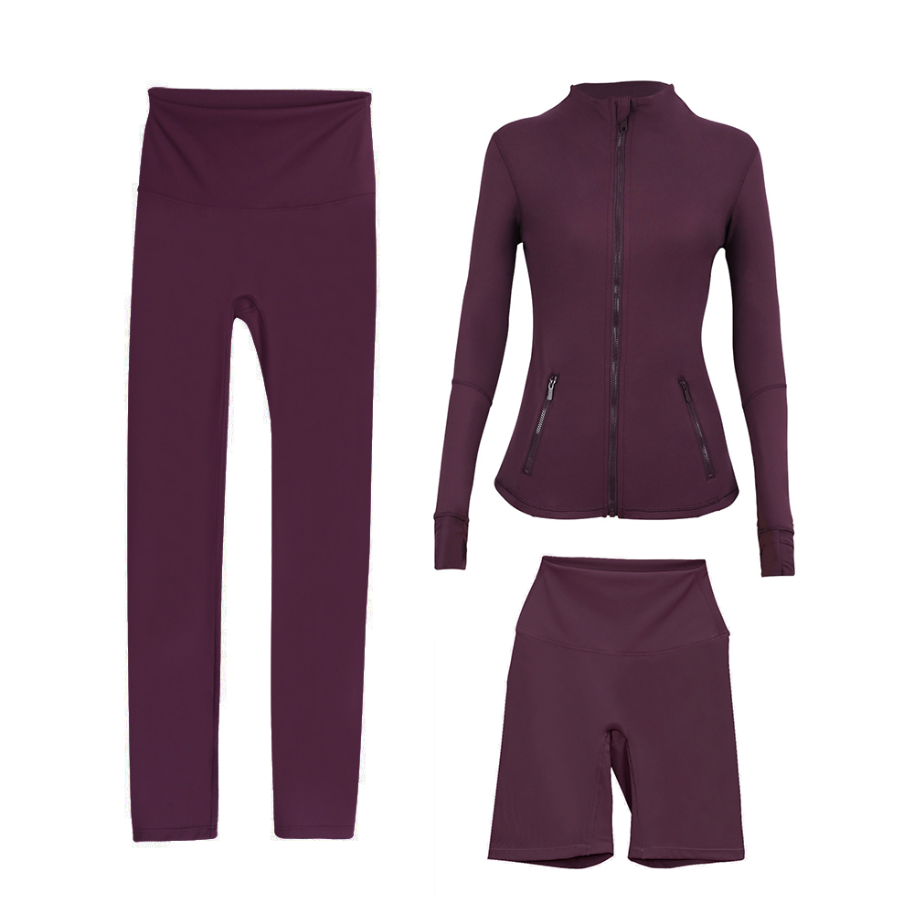 Aubergine violette