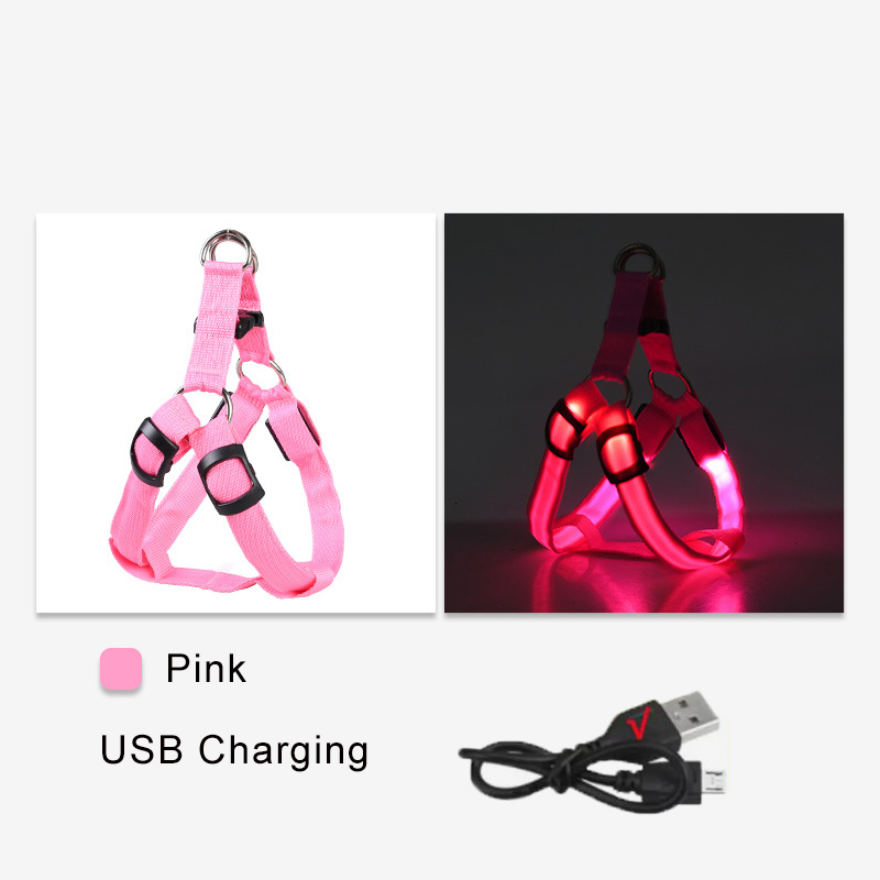 Chargement USB rose