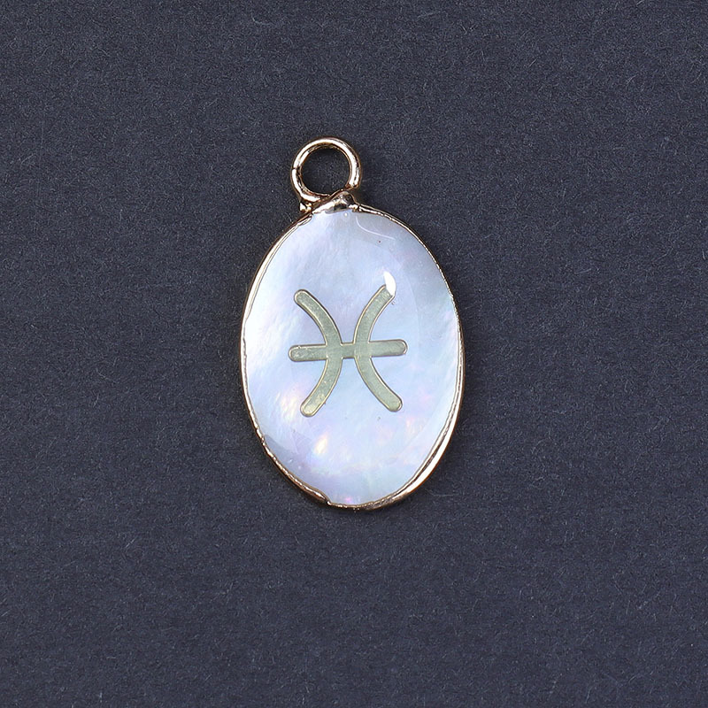 Concha Blanca de Piscis