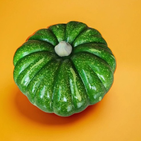 Citrouille verte de 19 à 35 cm