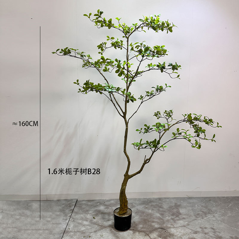 Arbre gardénia de 16 mètres, modèle B28