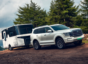 2023 yeni çin yeni enerji elektrikli araba Suv <span class=keywords><strong>tank</strong></span>ı 500 yeni araba Hi4-t 2.0t Plug-in hidrid araba yeni enerji araçlar 4x4