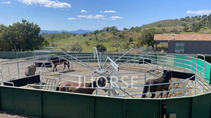 Popolare cavallo deambulatore a velocità variabile controllo a caldo-immersione zincatura acciaio braccia cavallo attrezzature da addestramento