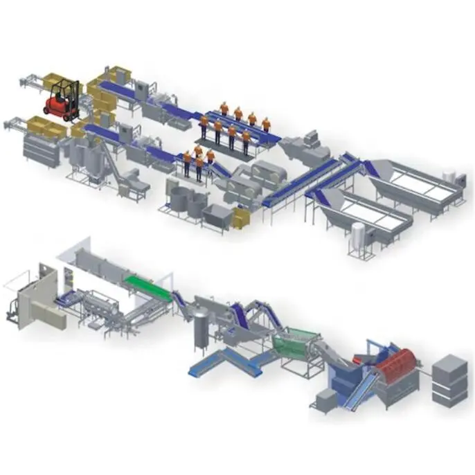 Ligne de fabrication industrielle automatique de moules et de viande de pétoncle congelés 1000 kg/h Machine Prix d'usine pour les ventes