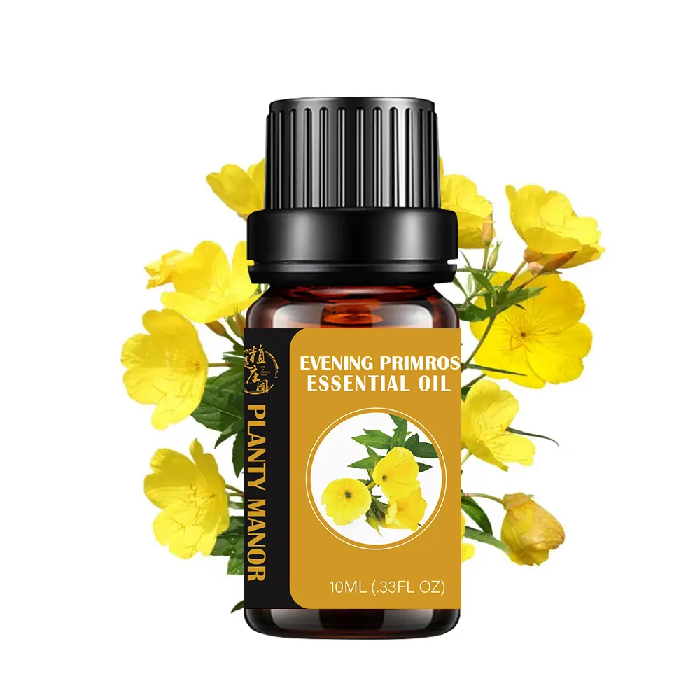 Extracto de semilla de primrose de noche, aceite de primrose de noche, envío rápido