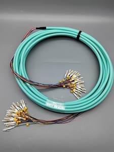 OEM multimodale OM4 12F in fibra ottica con 24 Fiber Breakout LC/PC Patch per il cablaggio del centro dati in reti WIFI 4G 3G - Product Image 2