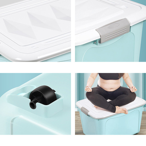 30L 50L 60L70Lグレーブルーピンクプラスチック特大収納ビンボックス衣類用蓋付き - Product Image 6