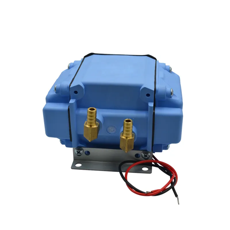 Bomba lineal de masaje al vacío, motor de vacío de succión de gas/eléctrico, 25-45l/MIN -30 40kPa DC12/24V AC110/220V