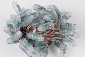 12mm WS2811 2811 IC Vollfarb-Pixel-LED-Modul Licht RGB Digital DC 5V Eingang IP68 Wasserdicht Ce 80 Ws2813 LED-Modul-20-60