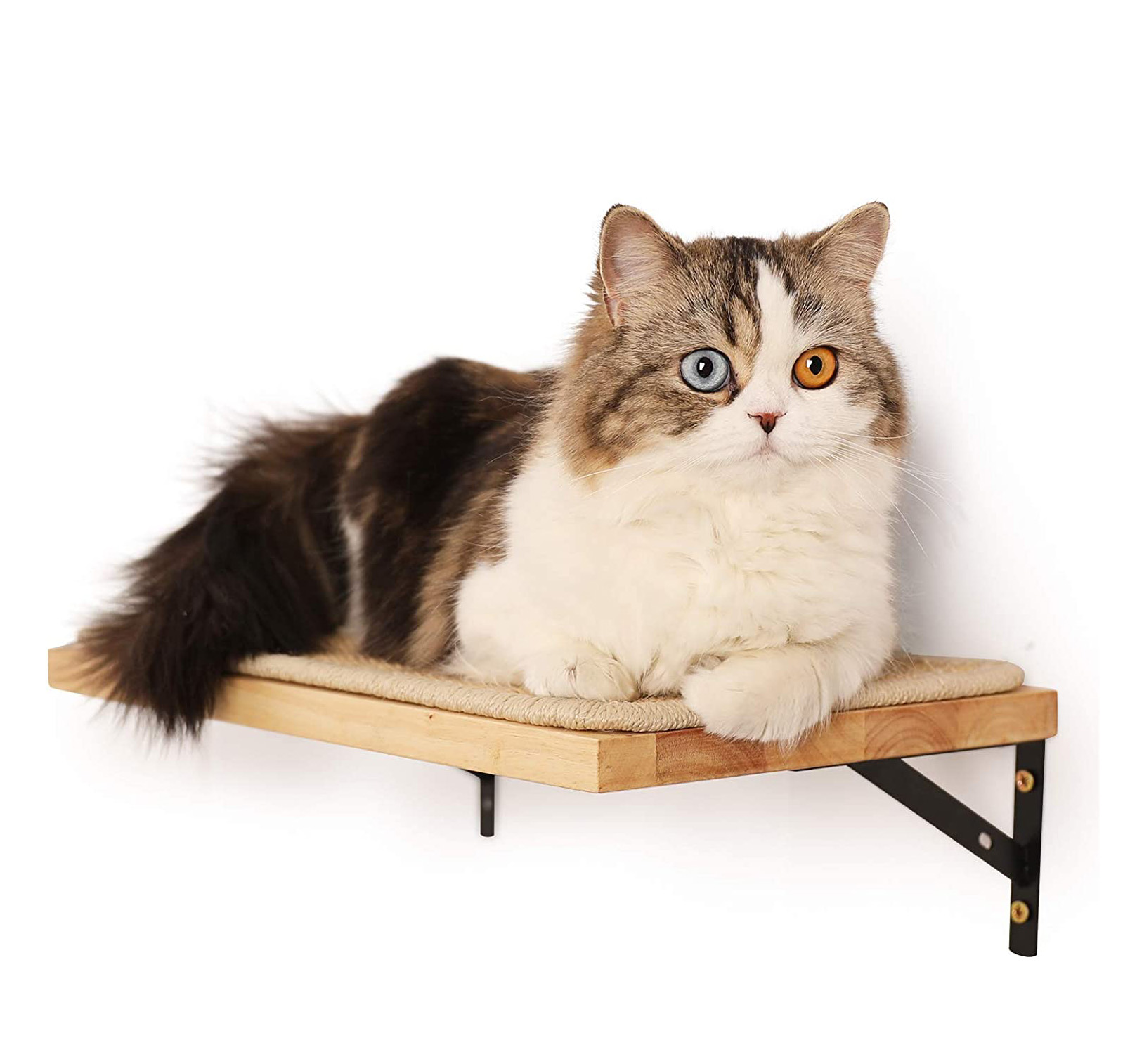 Re--CR007 รี--CR007