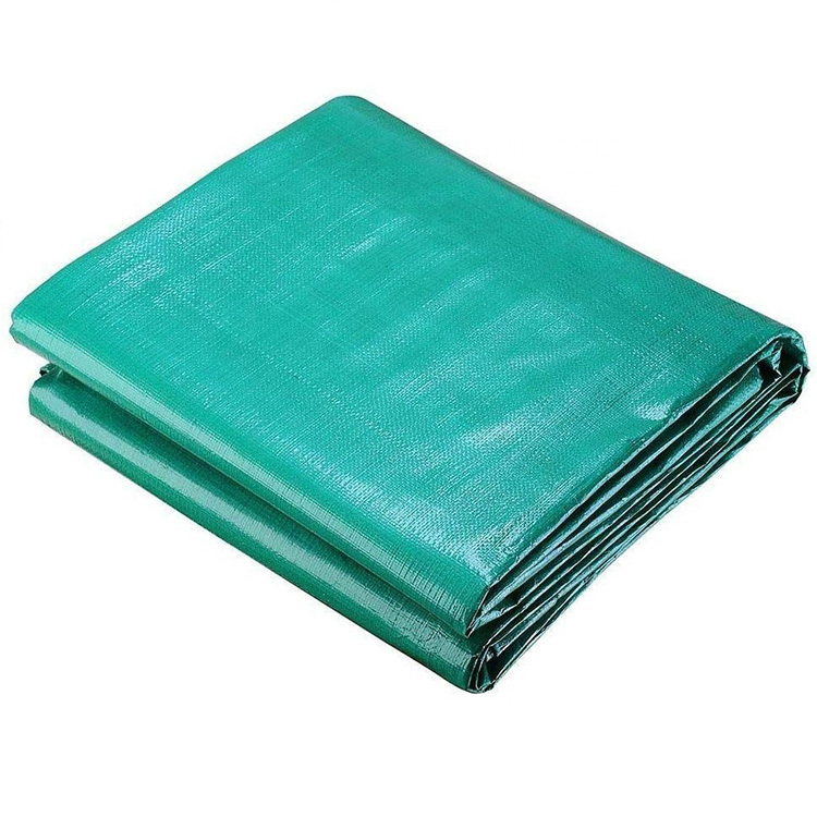 Menthe