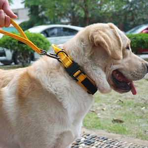 Tùy Chỉnh Chiến Thuật Con Chó Đào Tạo Cổ Áo Cho Velcro Logo Mềm Cotton Lót Dày Xử Lý Thanh Lịch Hiện Đại Con Chó Dây Xích Kim Loại - Product Image 5