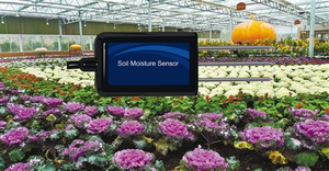 LORA LORAWAN-Sensor de humedad del suelo, dispositivo con salida analógica, Software de servidor RS485 4-20mA 0-5V 0-10V - Product Image 6