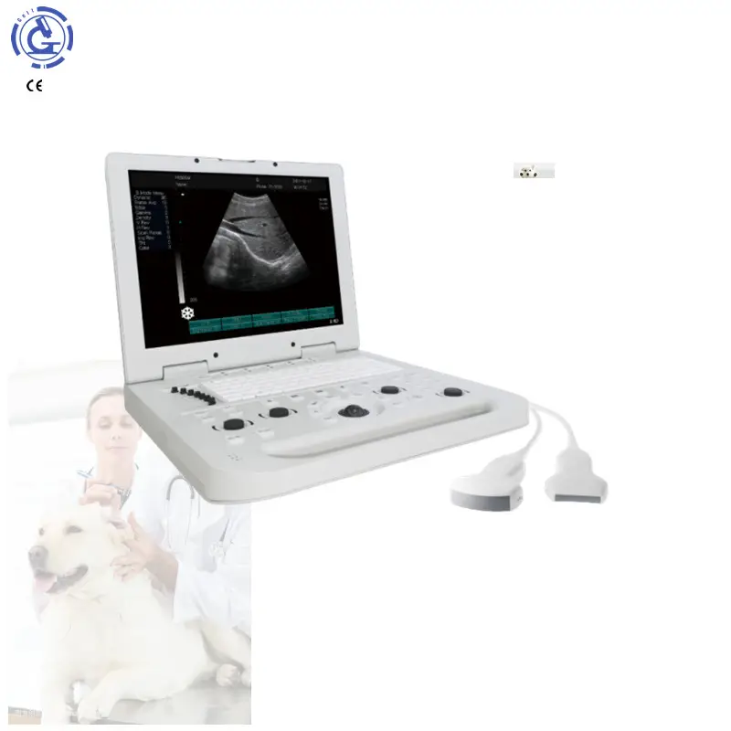 Escáner de ultrasonido veterinario portátil precio portátil ultrasonido digital portátil