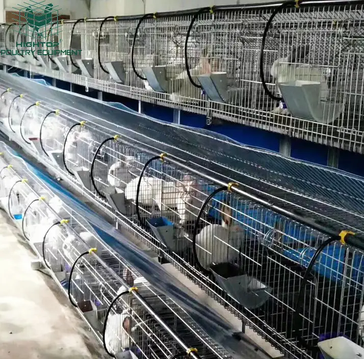 large scale farming commercial cage used for rabbit system