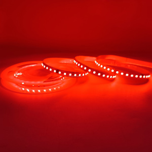 10mm 120LED DC24V 10 pixel WS2818 TM1934 indirizzabile RGB LED striscia per grandi progetti di illuminazione programmabili - Product Image 5