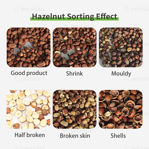 WESORT 6SXZ-68 Colour Sorter Manufacturer Food Processing Machinery Optical Smart <strong>Nut</strong> Walnut Hazelnut Colour <strong>Sorting</strong> <strong>Machine</strong> - Product Image 4