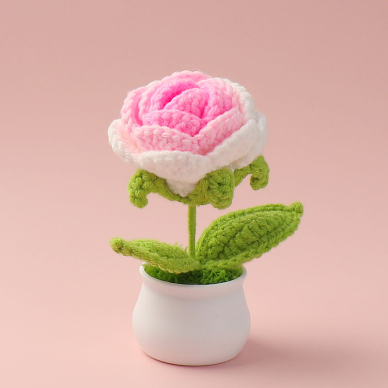pink rose (large size) small potted plant