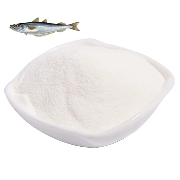 Supply Natural Marine Collagen Powder For Kosher Certified Collagen