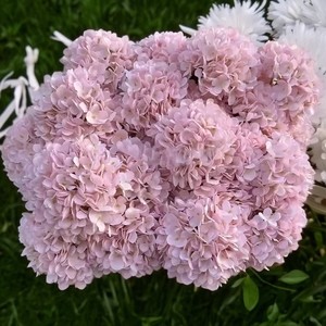 畅销书仿真粉色绣球花便宜单丝人造绣球花婚礼用 - Product Image 1